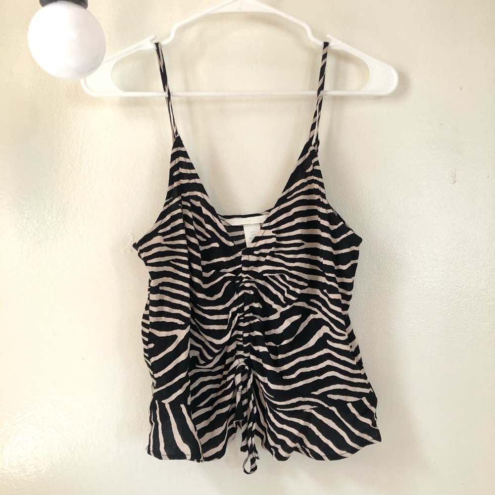 H&M Zebra Stipe Top